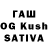 Гашиш Cannabis Acacia Trophical