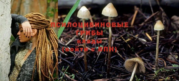 прущие крисы Балахна