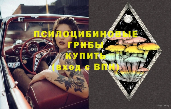прущие крисы Балахна