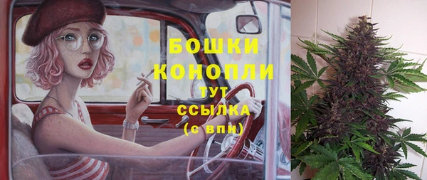 прущие крисы Балахна