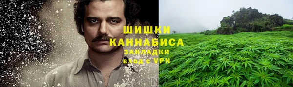 прущие крисы Балахна