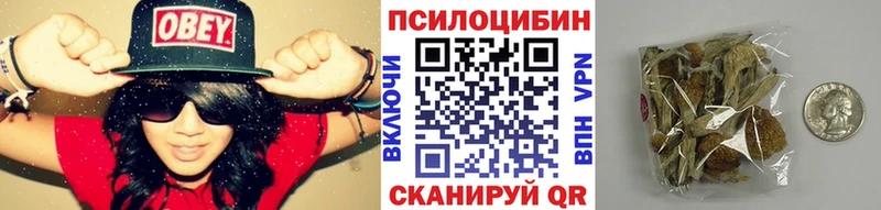 Галлюциногенные грибы GOLDEN TEACHER Котельниково